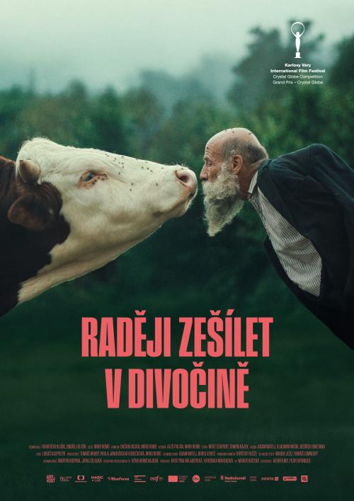 divočina